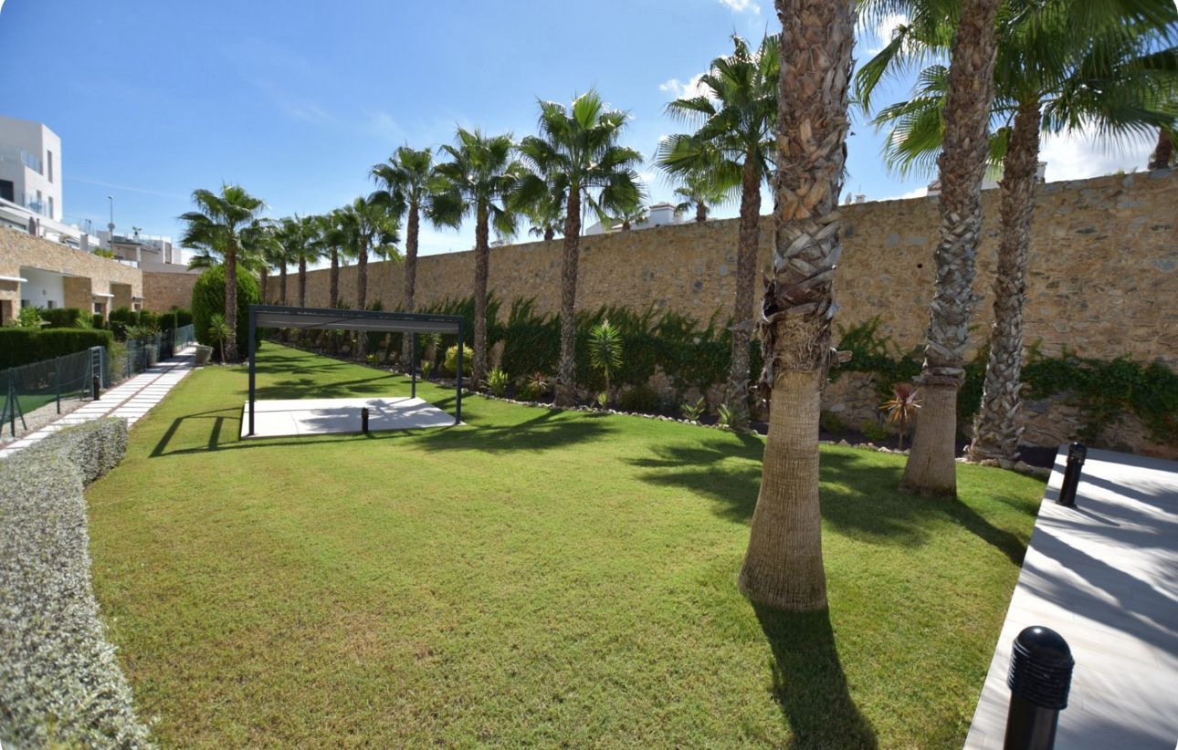 Gemeenschappelijke tuin met palmbomen